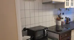 Zlatá léta - apartmánový dům Jáchymov - Image 4