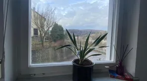 Bluestone Appartments 25qm free and near parking - Image 5