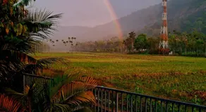 Paddygram stay - Image 4