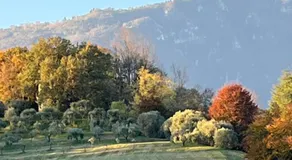 Alloggi Pesa - Image 5
