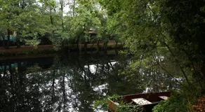 Quinta da Imaculada - Image 5