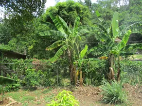 Ritashomeawayfromhome - Image 4