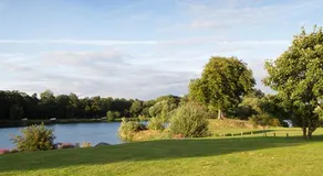 Woodland Waters - Image 3