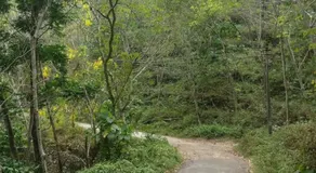 Ekam Retreat - One with Nature - Image 4