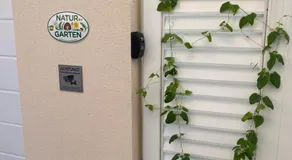 Mini Apartment in Amstetten im Souterrain - Image 5