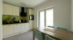APARTMAJI SILVA - Image 3