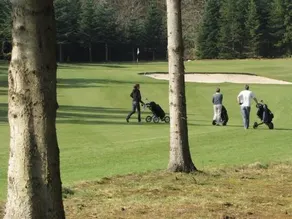 Tollundgaard Golf Park & Apartments - Image 4