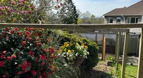 Egremont Road - Image 5