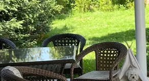 Lake house - Image 5