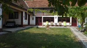 Casa Dragoi din Socolari, 218, Caras - Severin - Image 4