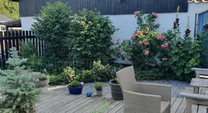 Pegasus Bed & Breakfast - Image 4
