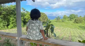 GME's Little Farm - Image 2