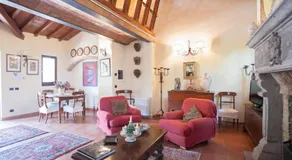 Olivella - Image 4