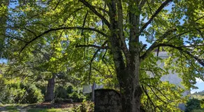 Château La Carrétale - Image 3