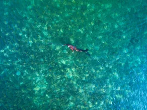 Nice Moon Resort - Image 4