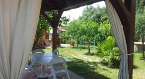B&B Hibiscus - Image 4