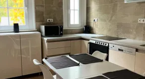 Elegantes Zimmer in historischer Villa in Siegen-Eiserfeld - Image 3