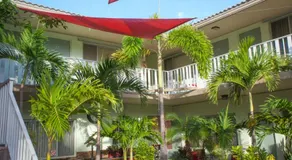The Big Coconut Guesthouse - Gay Men's Resort - Image 4