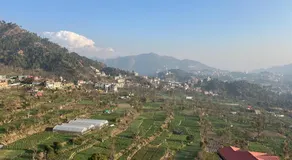 Slow living, Solan - Image 3