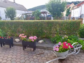 Apartment in Saxony in a Charming Area - Image 3