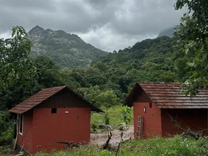 Jungle Homes - Image 4