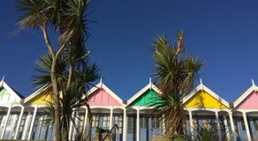 The Alendale Guesthouse - Image 3