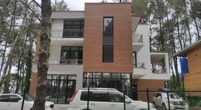 Kartuli Suli - Image 4