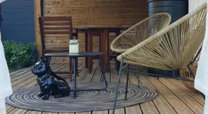 L'échappée de Sologne -chez l'habitant- à 1 min du Parc équestre fédéral FFE - Image 3
