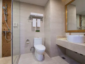 Vienna Hotel Longchuan - Image 4