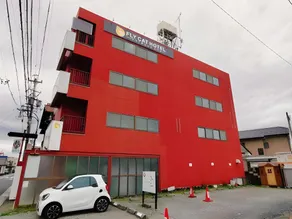 FLY CAT HOTEL - Image 4