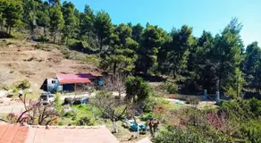 Villa Milia on the sea - Image 5