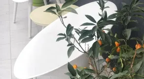 Carmen's nest - Image 5