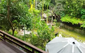 Kebon Krapyak Yogyakarta - Image 2