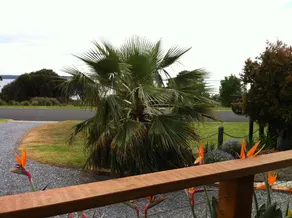 Corinella On The Esplanade Bed & Breakfast - Image 4