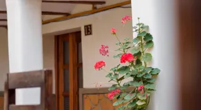 Los Faroles Hostal - Image 5