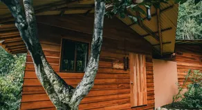 Selva Armonia Immersive Jungle Resort - Image 2
