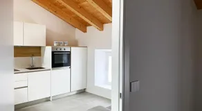 Palmamore - Image 5