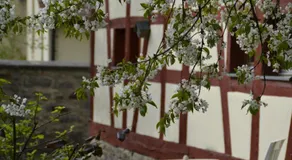 Romantisches Bed&Breakfast Apfelstern - Image 5