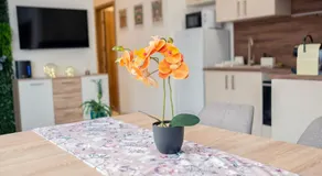 ARKSIS Apartman - Image 5