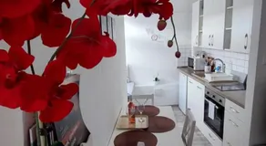 Orchidea Veszprém Apartman - Image 4