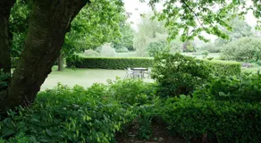 B & B De Lorijn - Image 5