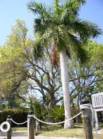 Hidden Harbor Suites - Image 5