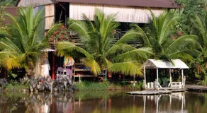 Bungalow - Farmstay Hoa Rừng U Minh - Image 3
