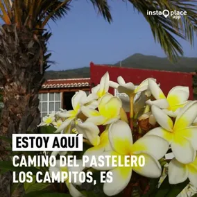 Casa Monasterio - Image 1