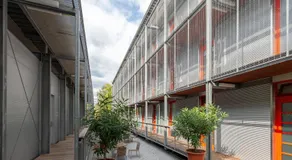 Orange Wings Krems - Image 5