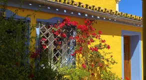 Cortijo La Saleta Banús - Image 4