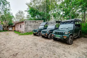 JLR Kings Sanctuary- Jungle Lodges - Image 3
