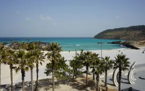 Jeju Belayuna - Image 4
