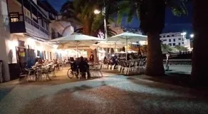 la casa de las palmeras - Image 4