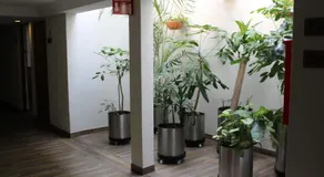 Hotel del Sur - Image 2